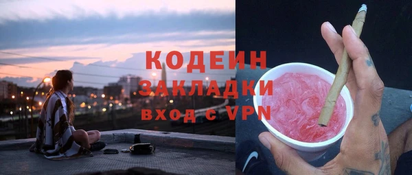 дурь Алексин