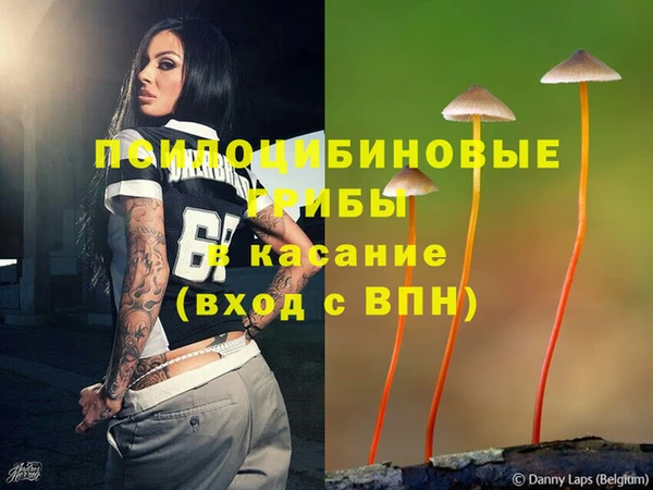 соль курить ск Алексеевка