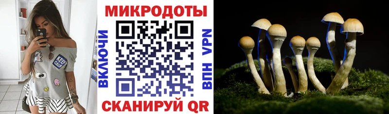 Псилоцибиновые грибы MAGIC MUSHROOMS  гидра сайт  Карабаш 